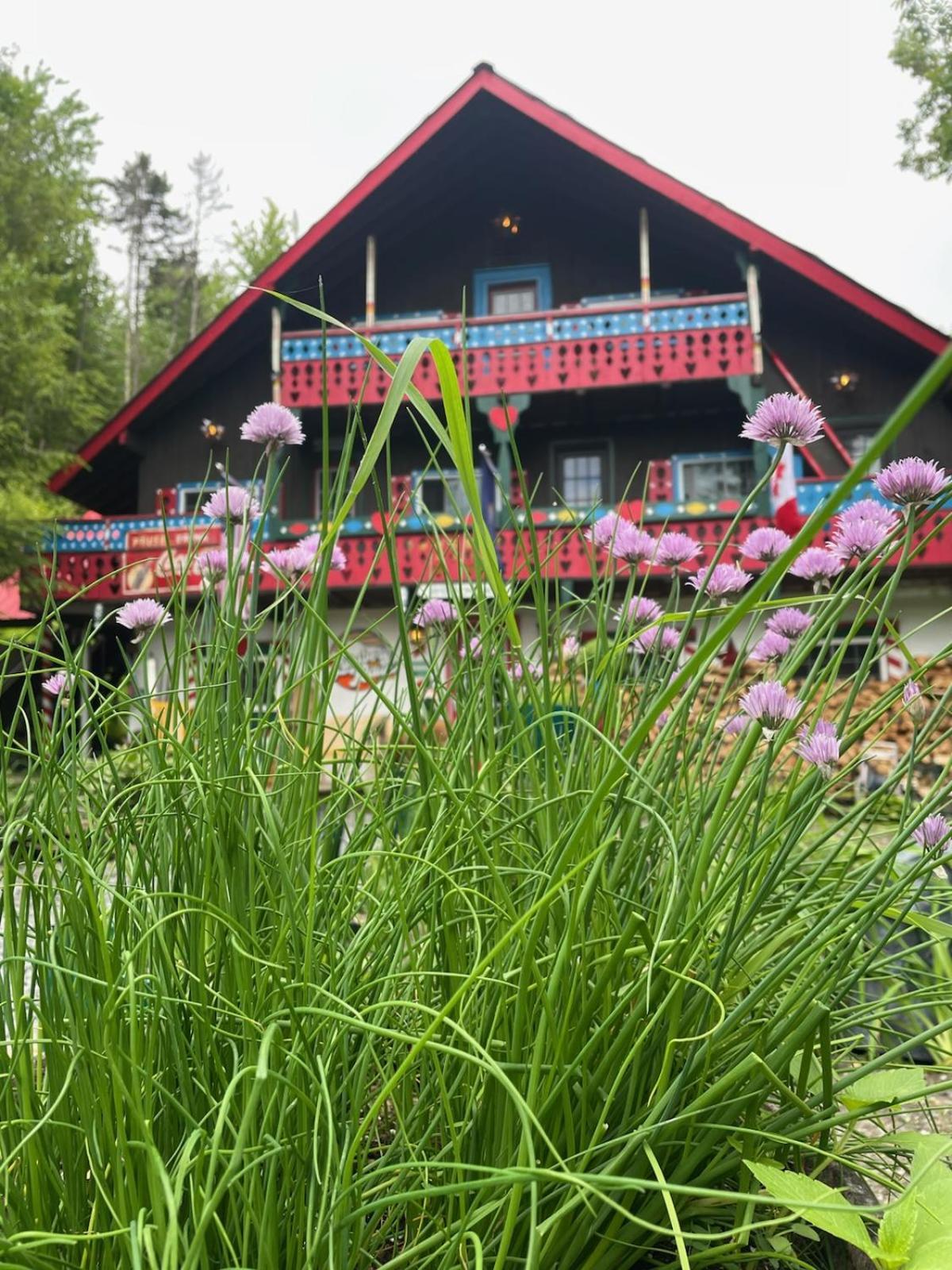 Grunberg Haus Inn & Cabins Вотербері Екстер'єр фото